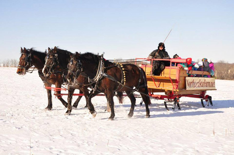 Northern Star Farm, Trappe, sleigh ride