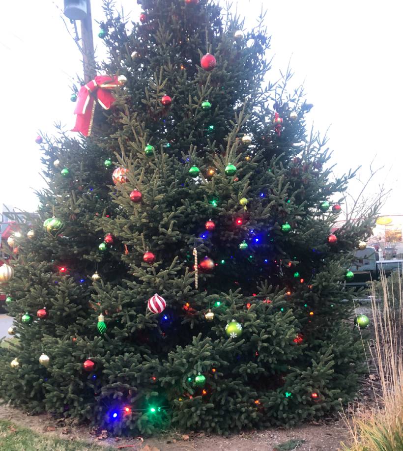 Collegeville Borough Tree Lighting and Santa Visit 2021